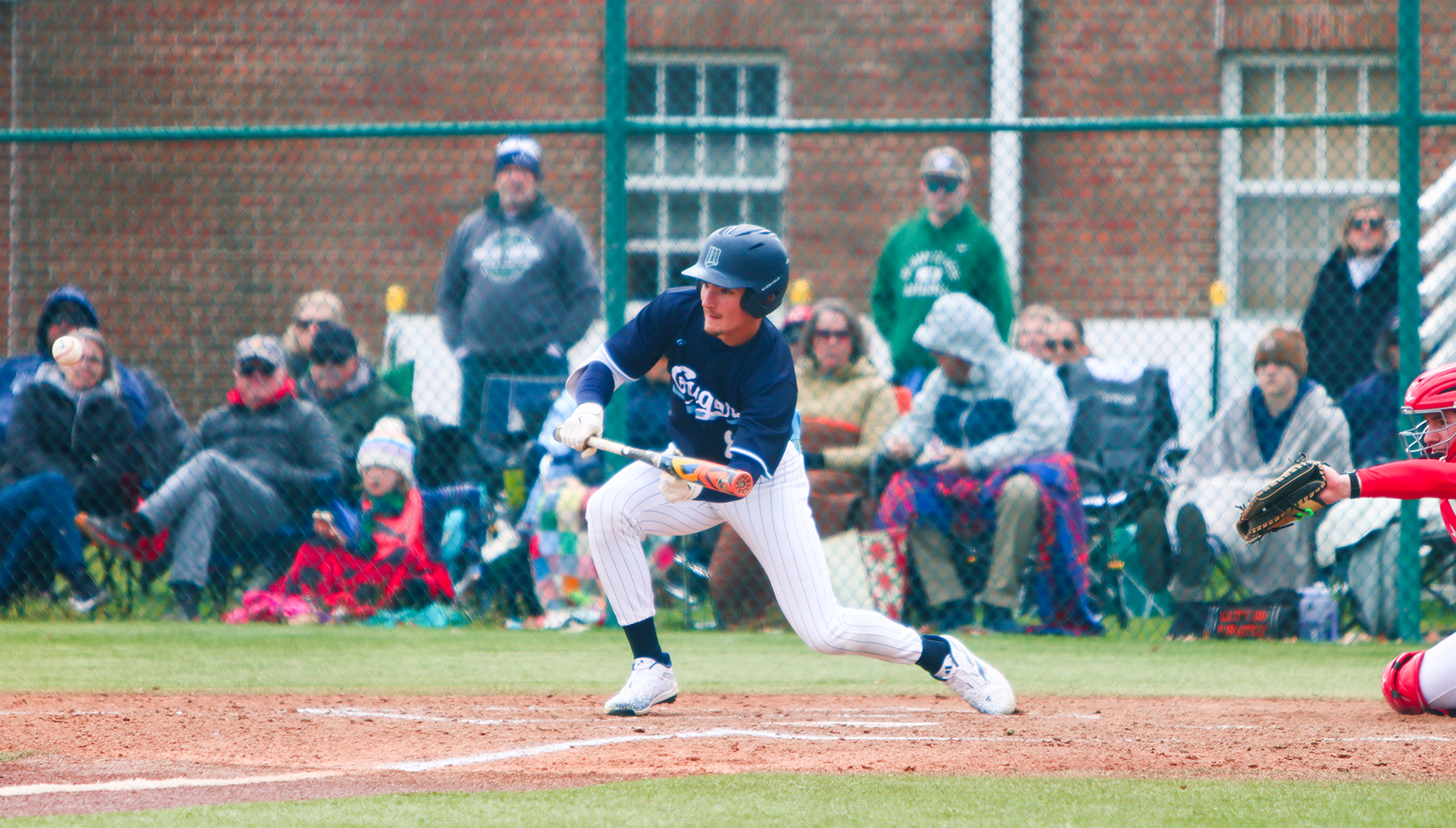 Cougars Sweep Day One of Series Against Maple Leafs