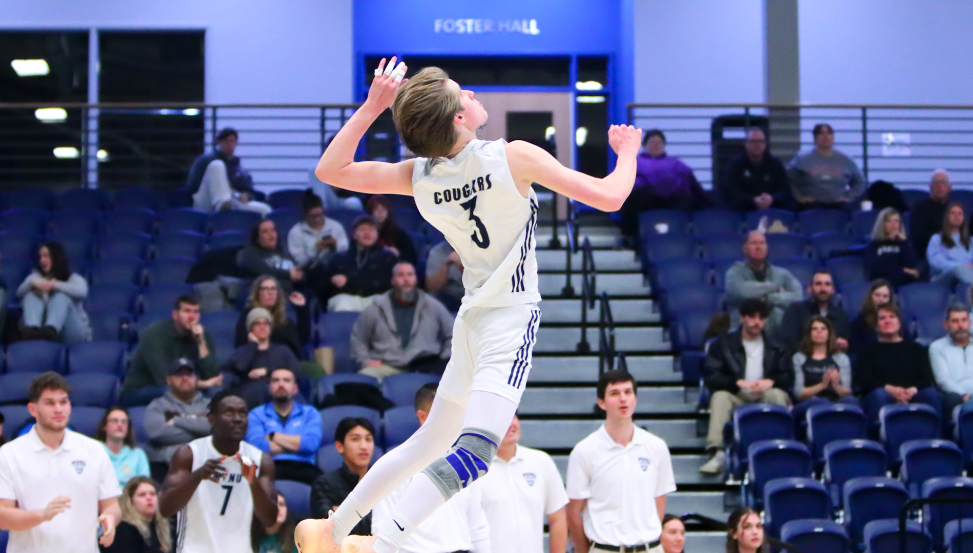 Cougars Come Up Short Against Terriers